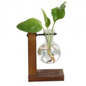 Стеклянные горшки для цветов Terraria 1 колба, 1 уровень