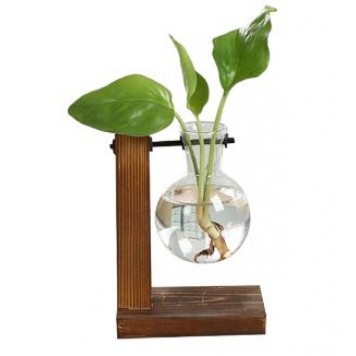 Стеклянные горшки для цветов Terraria 1 колба, 1 уровень