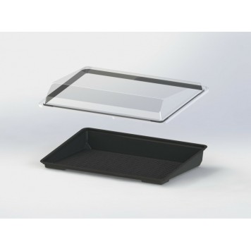 Контейнер дно для суши и роллов КД-309, 245х161х45 мм черный /510-1