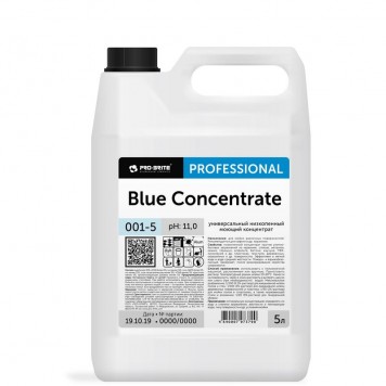 Моющее средство для керамических поверхностей Pro-Brite Blue Concentrate (001-5) 5 л (концентрат)